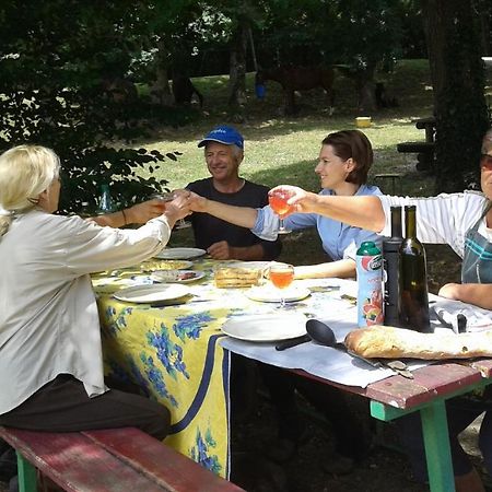 Ferme Equestre Des Abrons Villa Pailloles Екстериор снимка