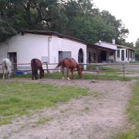 Ferme Equestre Des Abrons Villa Pailloles Екстериор снимка