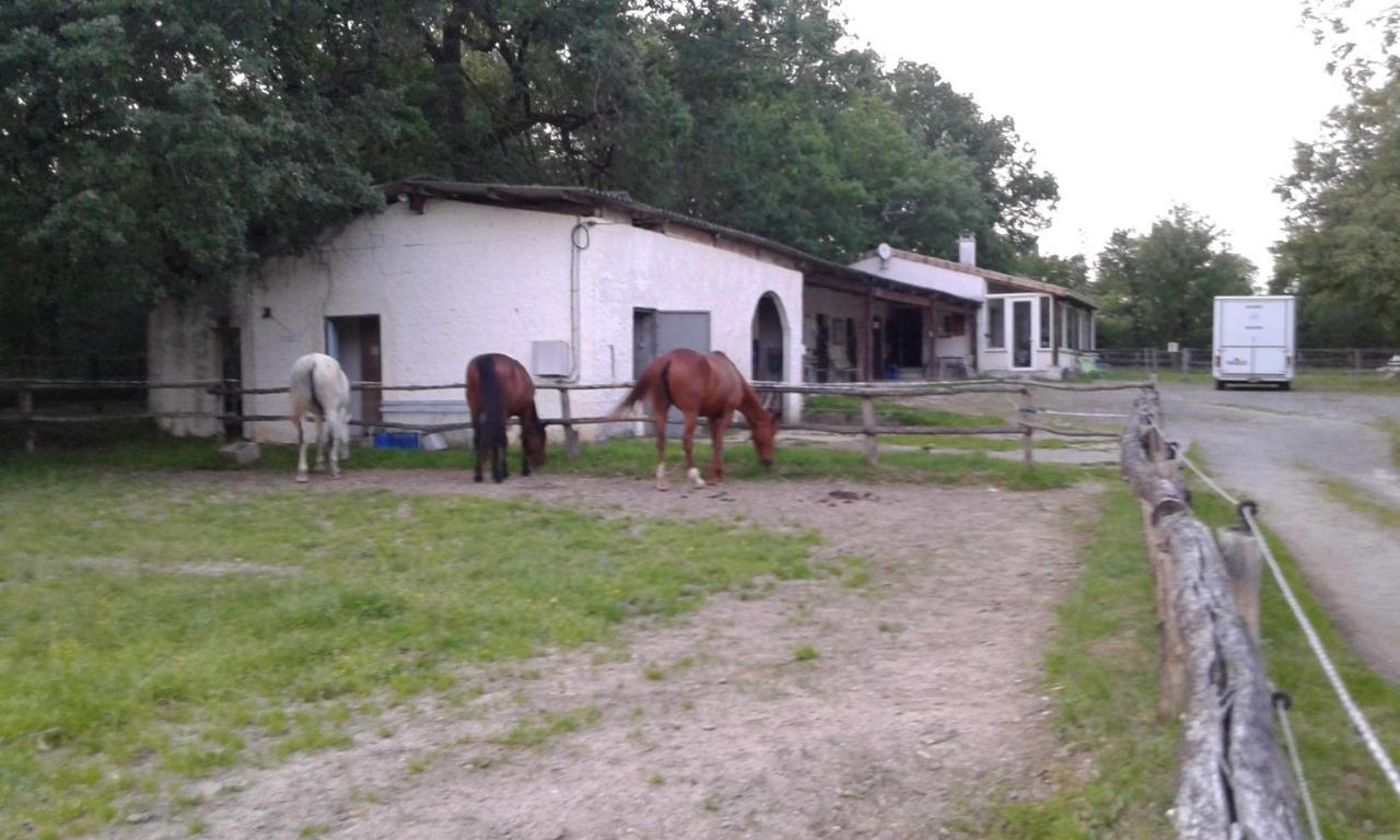 Ferme Equestre Des Abrons Villa Pailloles Екстериор снимка