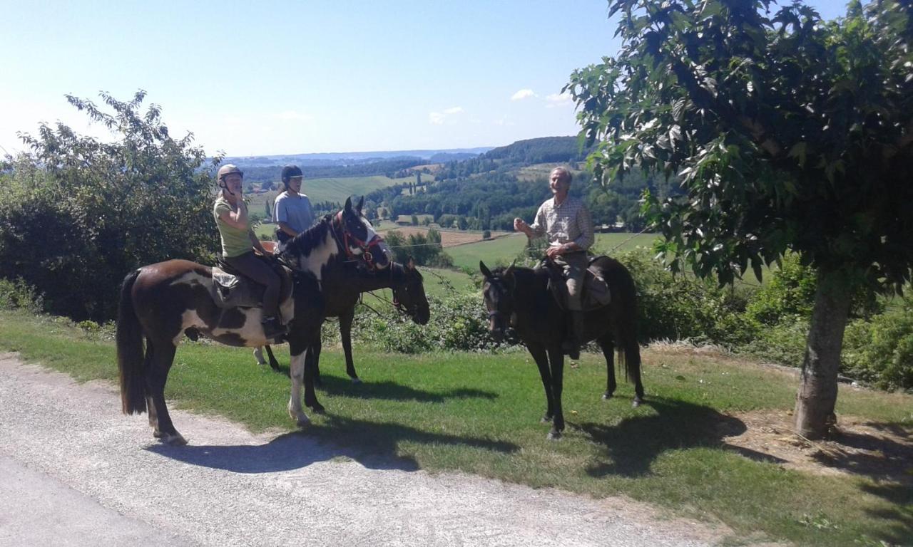 Ferme Equestre Des Abrons Villa Pailloles Екстериор снимка