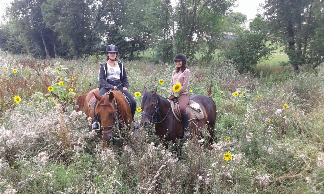 Ferme Equestre Des Abrons Villa Pailloles Екстериор снимка