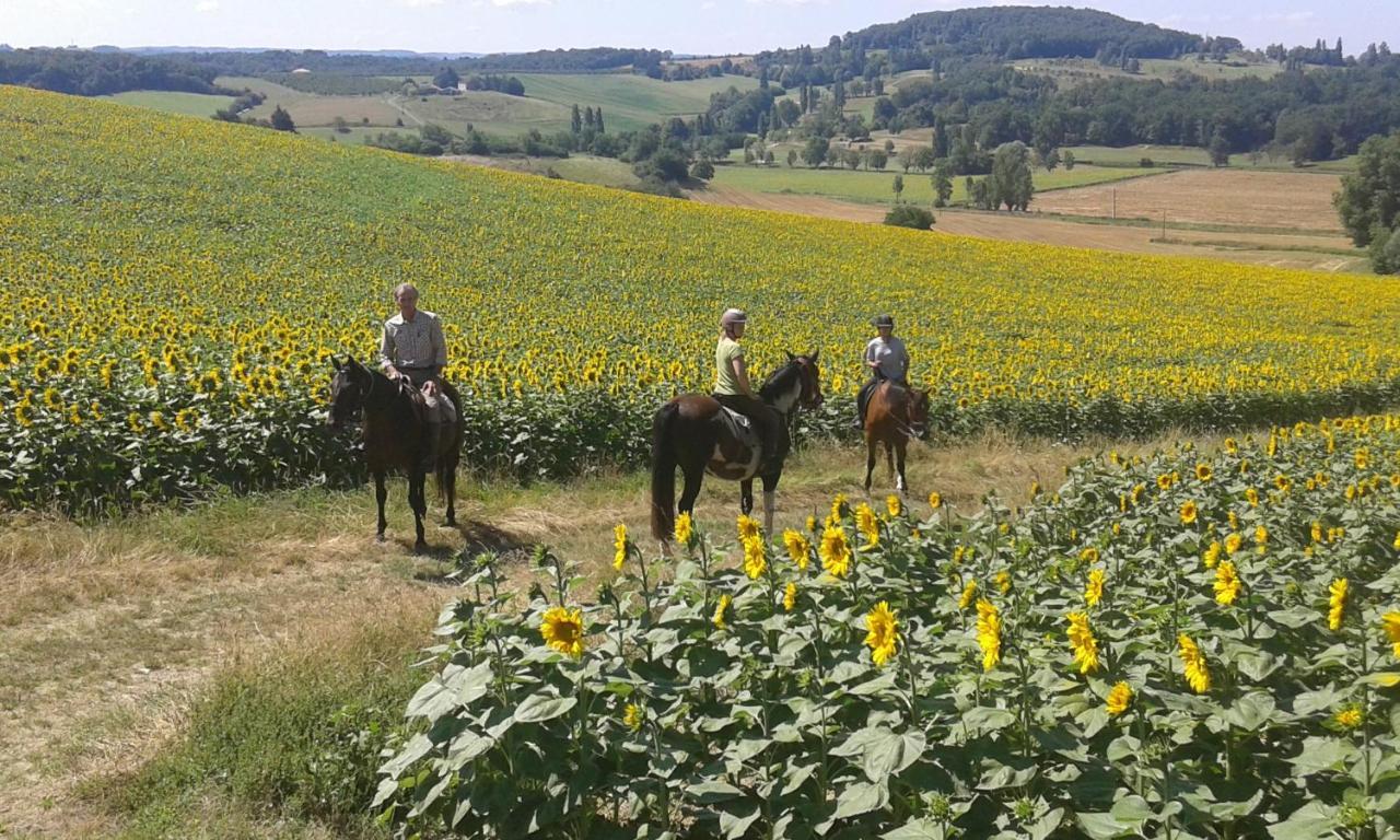 Ferme Equestre Des Abrons Villa Pailloles Екстериор снимка